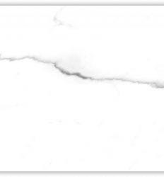 Carrara White 25×50