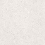 Sena Light Gray 25×50