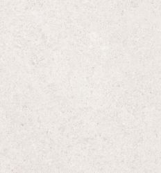 Sena Light Gray 25×50