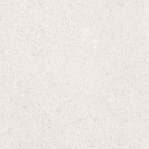 Sena Light Gray 25×50