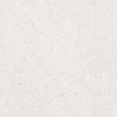 Sena Light Gray 25×50