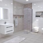 Sena Light Gray 25×50