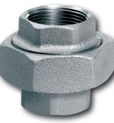 Holender pocinkovani 1/2