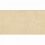 Living Outdoor PNR Beige R11 30.8x61.5 