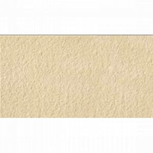 Living Outdoor PNR Beige R11 30.8x61.5 