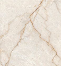 Champagne 3631 Glossy 30×60