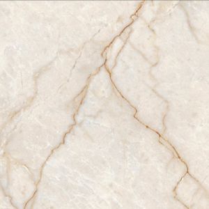 Champagne 3631 Glossy 30×60