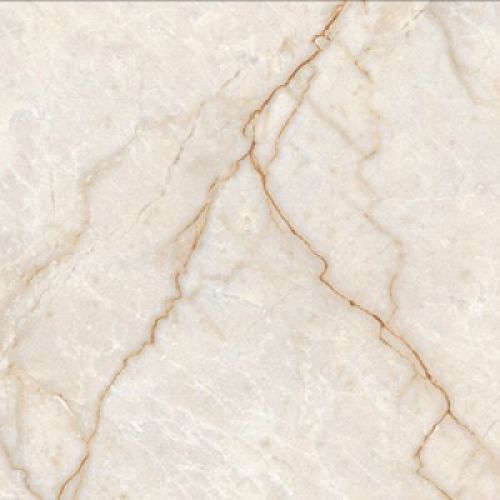 Champagne 3631 Glossy 30×60