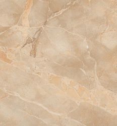 Breccia Classice Glossy 60×120