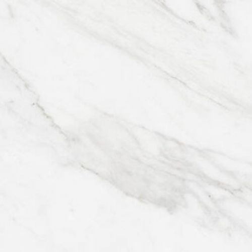 Carrara 25x50