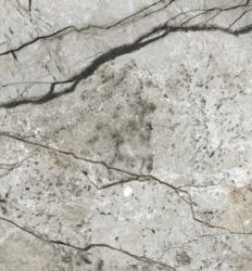 Marble Skin Grey Matt 59.8×119.8
