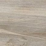 Memory Tortora 15×100