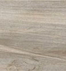 Memory Tortora 15×100