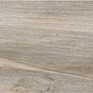 Memory Tortora 15×100