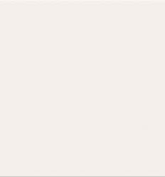 PS500 White Glossy 29.7×60