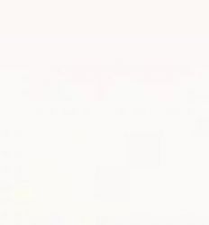 PS901 White Glossy 29×89