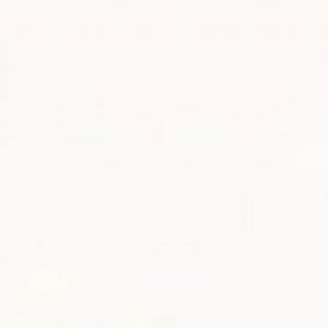 PS901 White Glossy 29×89