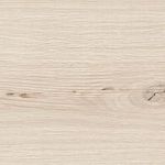 Sandwood White 18.5×59.8