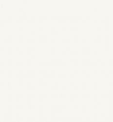 PS 901 White Satin 29×89