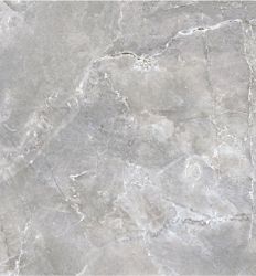 Sakarya Gray 60×120