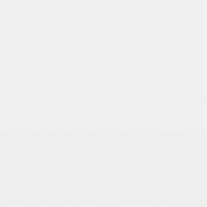 Blanco Brillo 33.3x100