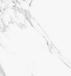 Calacatta White Mate 33.3x55