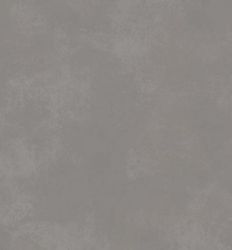 Concrete Gris 31.6x60