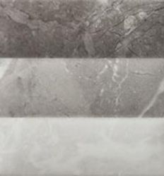 RLV Renoir Gris 20x60