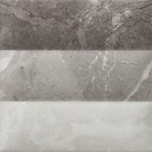 RLV Renoir Gris 20x60