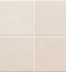 RLV Travis Marfil 20x60