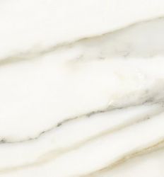 Venato Gold Shine 30x90