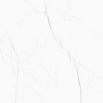 Barbados Pulido 60x120