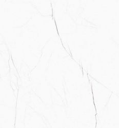 Barbados Pulido 60x120