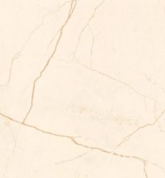 Elegance Marble Ivory Pulido 60x120