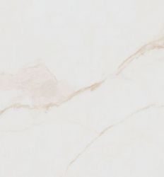 Essential Gold 60x120