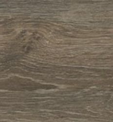 Rainforest Nogal 20x60