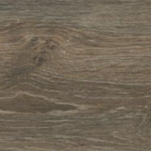 Rainforest Nogal 20x60