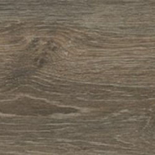 Rainforest Nogal 20x60