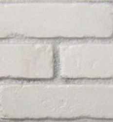 Beverley White 20x60