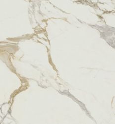 Medici Gold Pulido 80x160