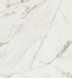 Ravena Pulido 120x260