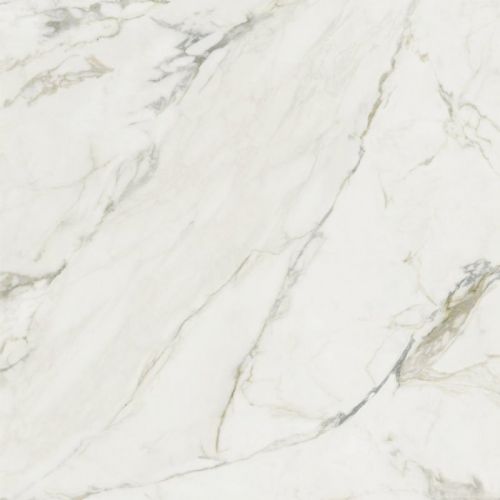 Ravena Pulido 120x260