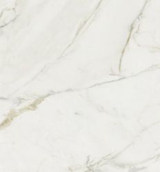 Ravena Pulido 80x160