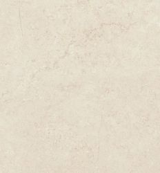 Concrete Bone 44.7×44.7