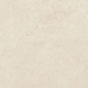 Concrete Bone 44.7×44.7