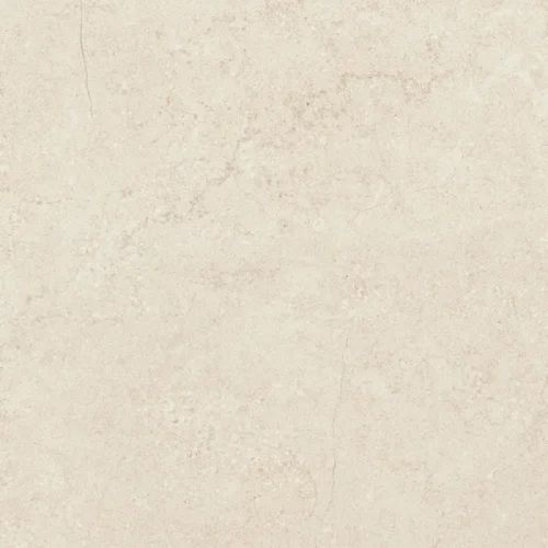 Concrete Bone 44.7×44.7