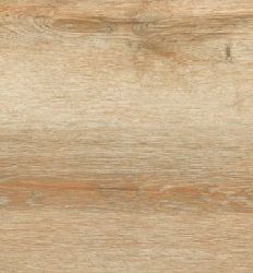 Forest Oak 30x60