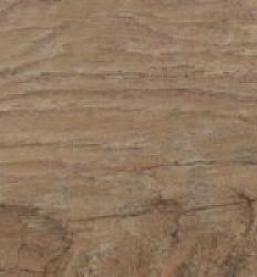 Orex Beige 14.7x59.4