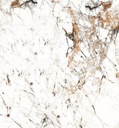 Burberry White 60x120