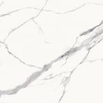 Statuario Goya Matt 61x61